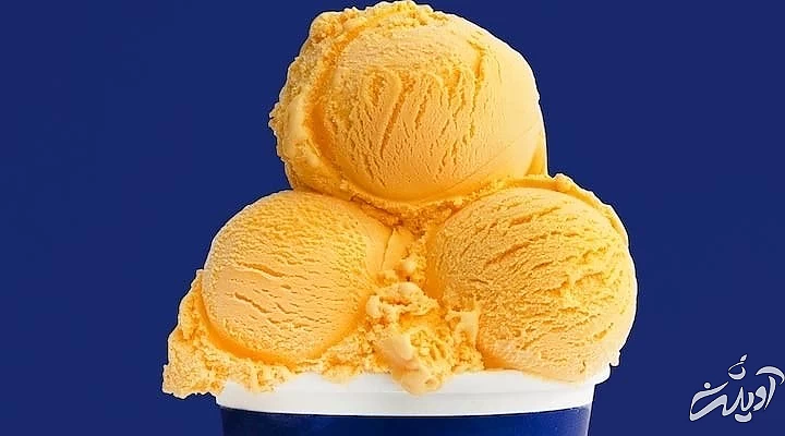 خاصترین بستنیهایی که اسمشان را هم نشنیدهاید